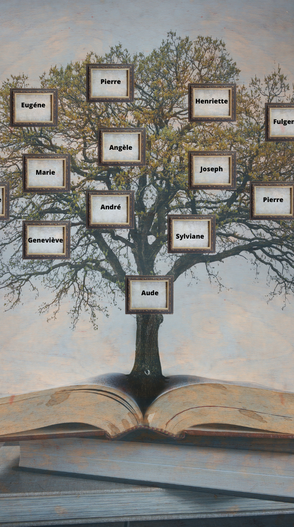 Arbre généalogique stylisé sur un livre ouvert, avec des noms encadrés.